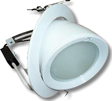 LED Adjustable Round Shop Light